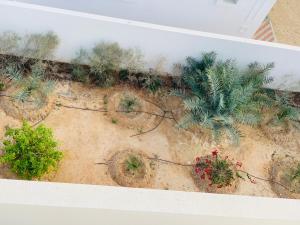 EXECUTIVES CORPORATES-LONG Styacatioin HOMES IN DHAFRA-Ghayathi