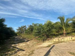 Lanta Beautiful beach house 2