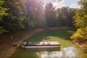 Black Bear Cove cabin