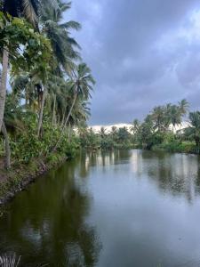 Essaar Punnot Farmstay Resort