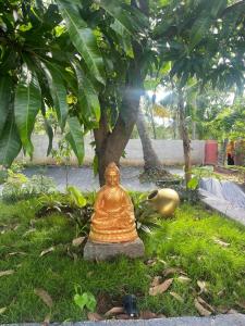 Essaar Punnot Farmstay Resort