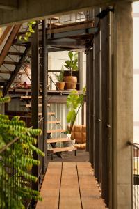 The Still Slow & Sip