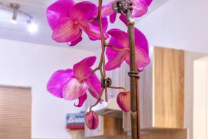 City Retreat Safari Sunninghill