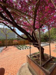 Homestay Nhà Gỗ - Vĩnh Hy