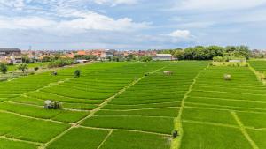 Casa Alden - 3BR Infinity Pool with Ricefield View
