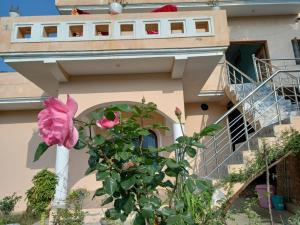 Homestay Near Tehri Lake Chamba uttrakhand