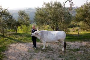 Tourist Farm Robivera 