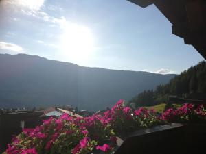 Activ-Family-Apart-Wisiol-Pitztal Sommercard inklusive