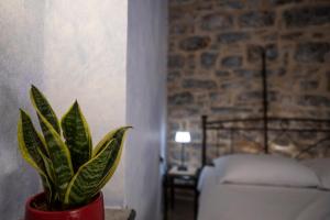 Stone Olympi Lodges - Chios Cozy Hideaways