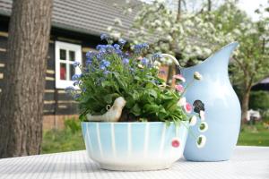 Ferienwohnungen im Försterhof