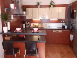 Family Flat 120m2, Praha 2 Vinohrady