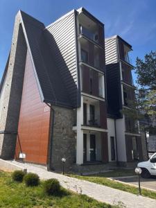 Studio Yellow Moon Borovi