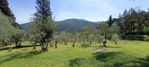 casale Villa Esa