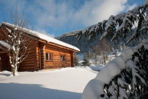 Appart'hotels Le Couaroge Chalets et Appartements : photos des chambres