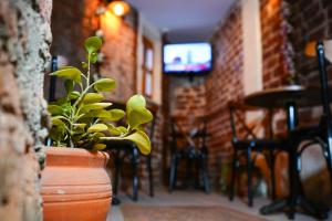 İstanbul Old City Apartment