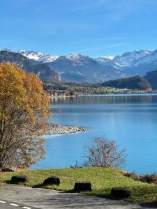 Hotel Wildbach Brienz