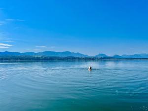 simsseeLOFT - Ferienapartments in Baierbach am Simssee