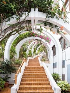 Live Torviscas Parque Royal 12