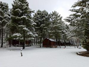 Cabaña El Paraíso de Riópar