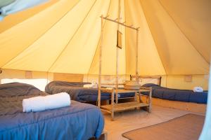 Lodging Nature Camp Châteaux de la Loire