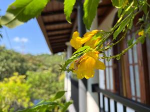 SunUp Homestay