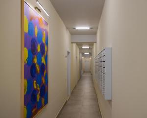 Urban Oasis East of Tirana