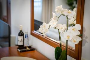 Bansko Peak Apartments 304