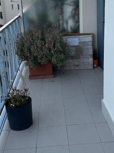 Le Pavillon Etoile