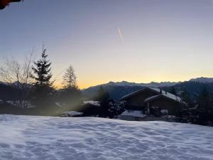 Anzère appartement de vacances calme et sympa
