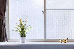 Maison Shin Nakano 201 MS21