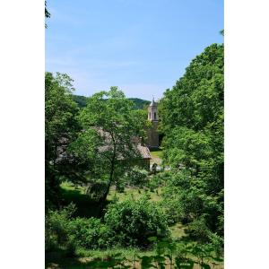 Il Gallinaio, Vivo DOrcia