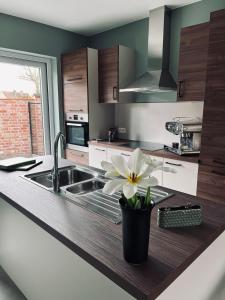 Huyze Rapaert Cozy and spacious 4 rooms, open kitchen