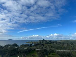 Azienda Agricola Villa Manicone