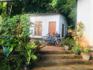 Shereen Sigiri Homestay