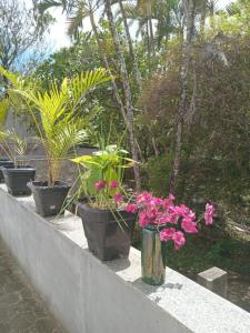 4-bedroom farmhouse, 2 suites, large outdoor space