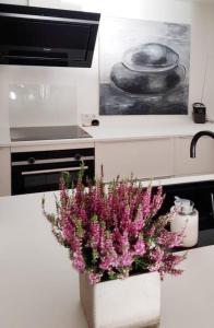 Top renovierte Wohnung in Flensburg, Johannis 59