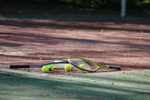 Gîte LES GRANDS ARBRES