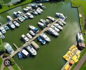 Gîte LES GRANDS ARBRES