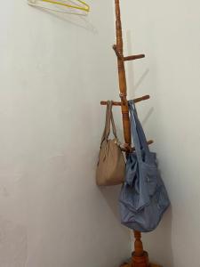 Pousada Cisne Branco