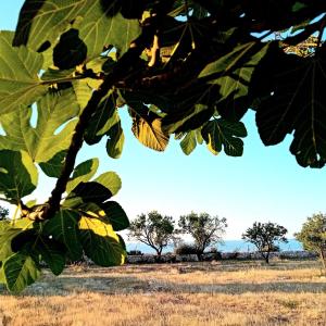 La Segreta Oasi relax room