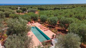 TD Lamia Porta Rossa Countryside wOlive Trees