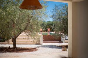 TD Lamia Porta Rossa Countryside wOlive Trees