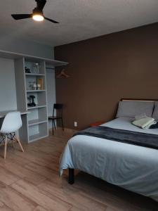 Compact Studio Apartment Casa Icacos #8