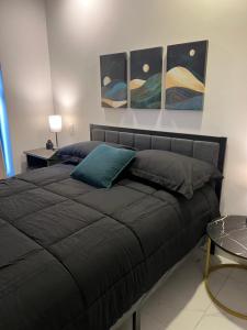 1BR Apt in Roma Sur near Parque Delta