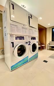 O Novo QUeridinho de CWB