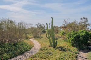 Chalet avec vue Océan