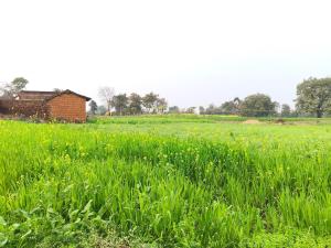 Aashiyana Home Stay Ranehfall