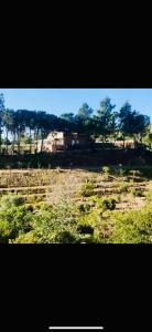 Villa Medau Becciu Adults only Heritage estate