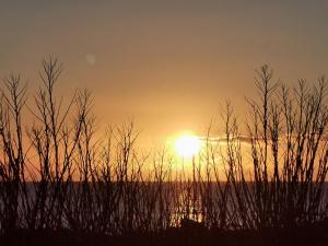 Appartement Océan - Grand Bleu
