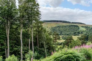 Ballintuim Exclusive Holly Caravan